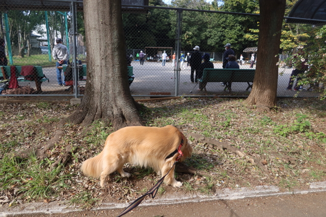 ファイル 8188-1.jpg