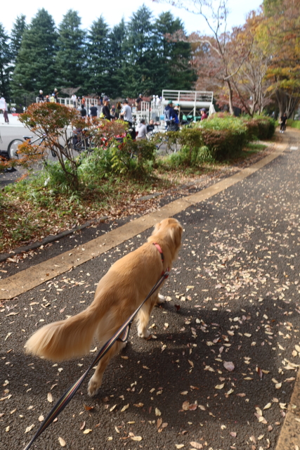 ファイル 8188-2.jpg