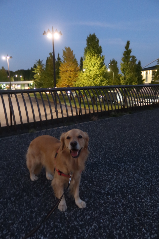 ファイル 8189-2.jpg