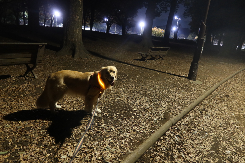 ファイル 8189-5.jpg