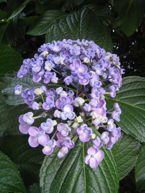 ファイル 819-2.jpg