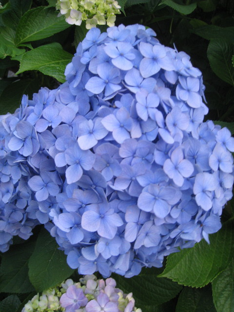 ファイル 819-5.jpg