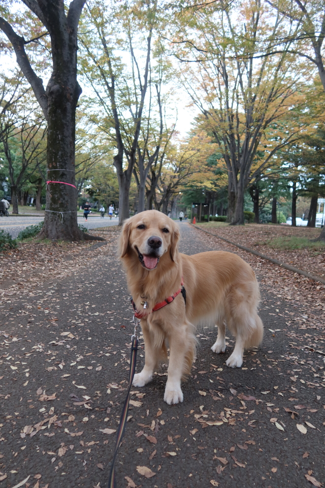 ファイル 8190-2.jpg