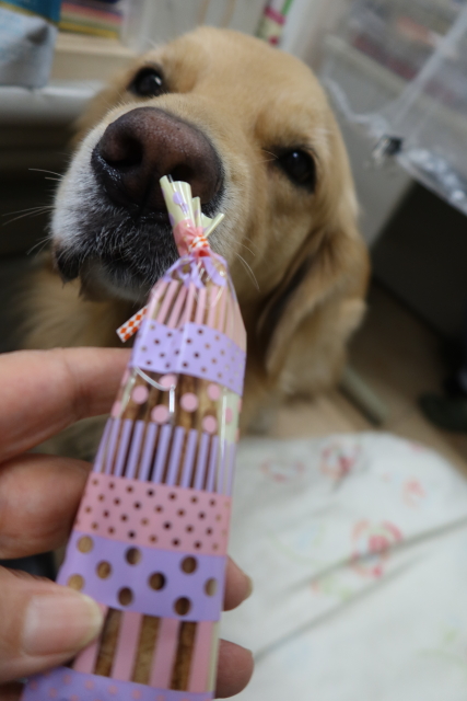 ファイル 8192-1.jpg