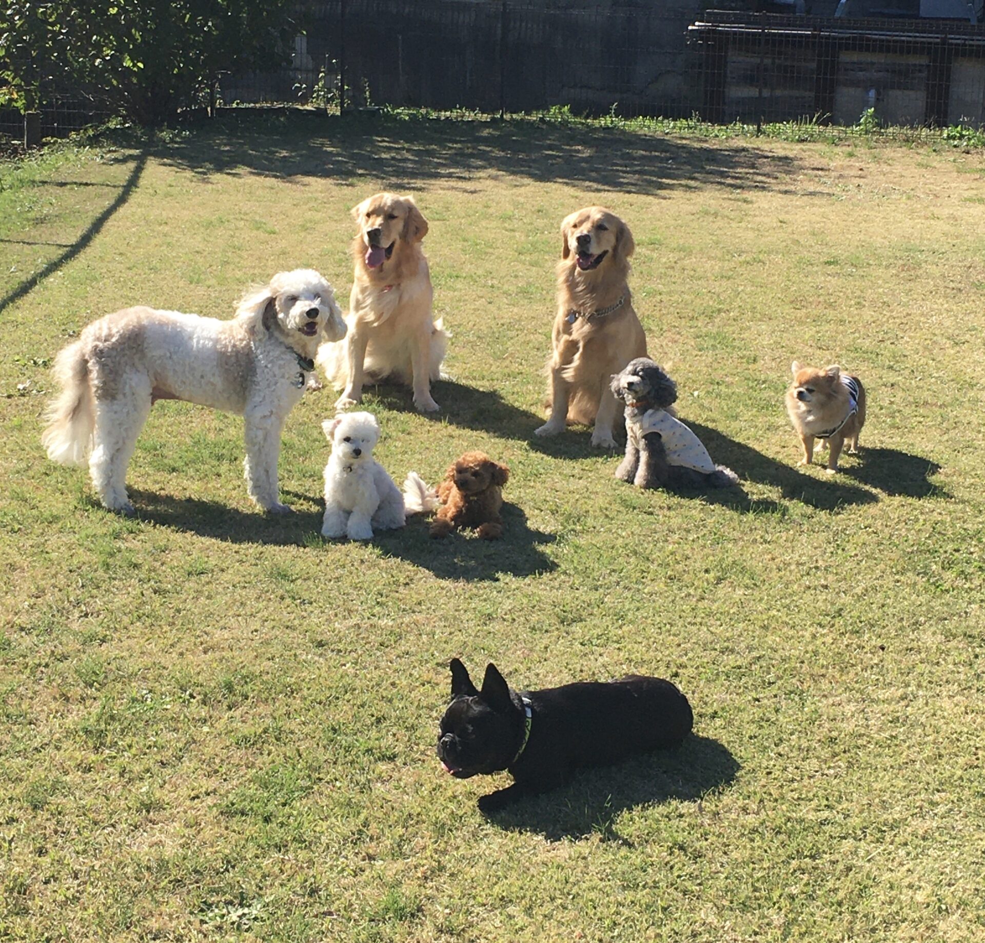 ファイル 8193-1.jpeg