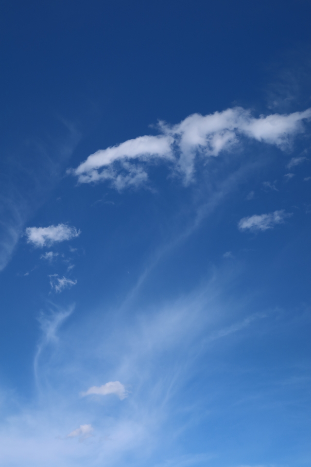 ファイル 8194-1.jpg