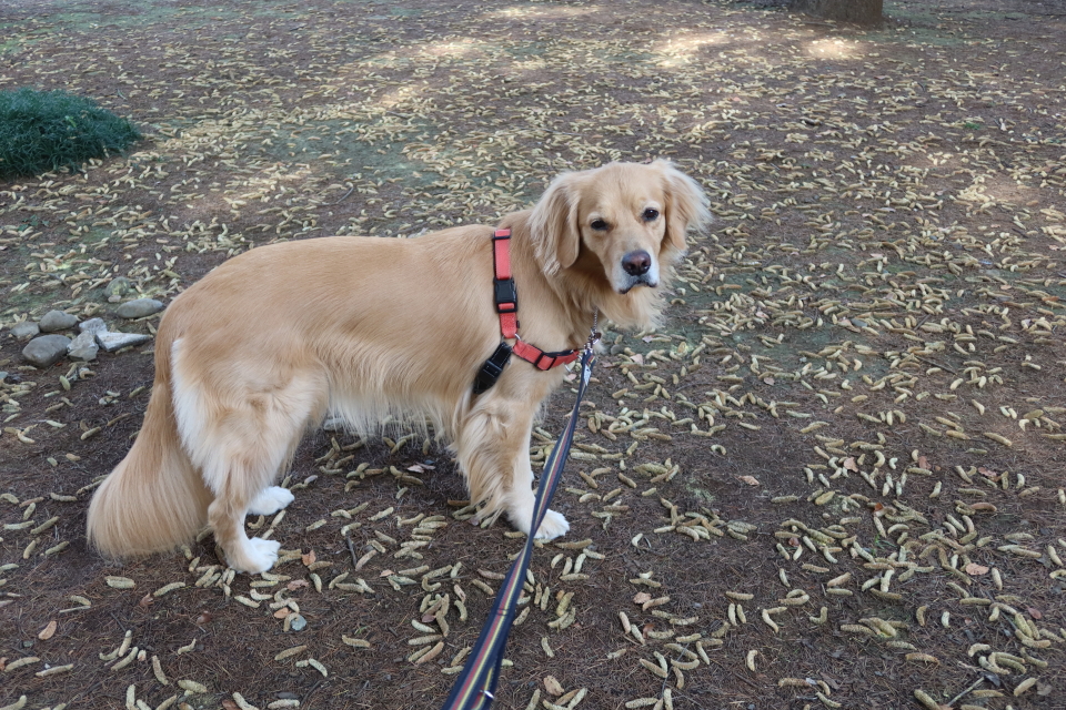 ファイル 8194-2.jpg