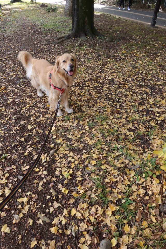 ファイル 8194-4.jpg