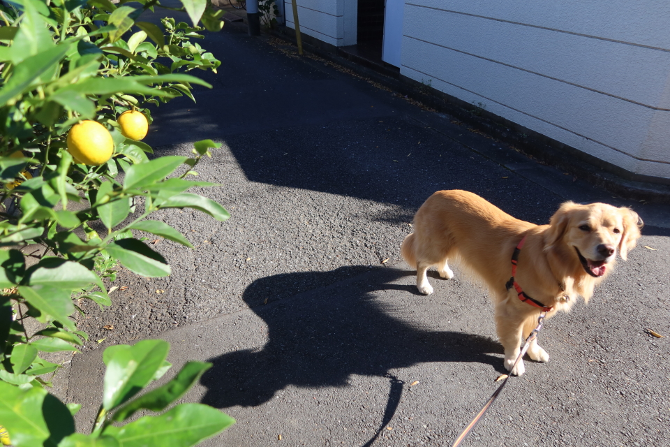 ファイル 8194-5.jpg