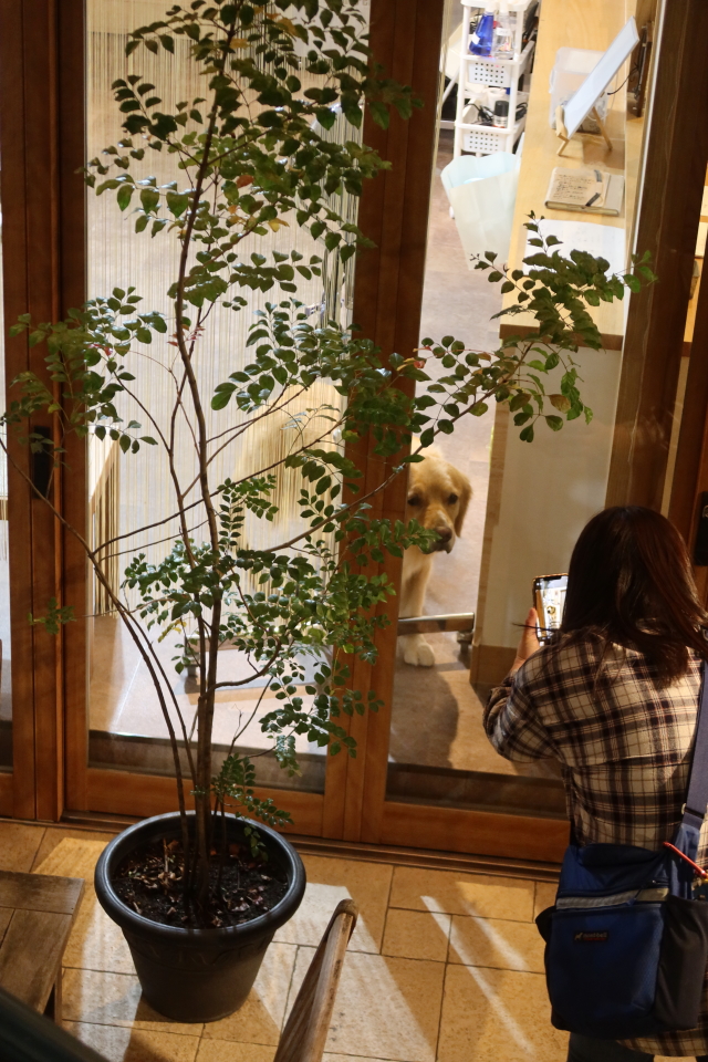 ファイル 8195-1.jpg