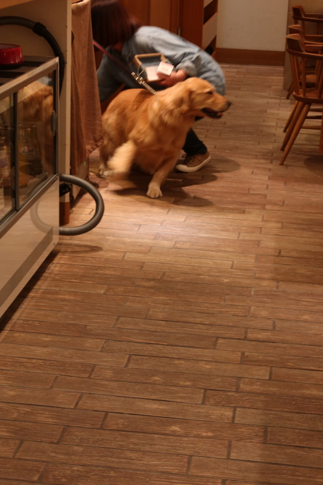 ファイル 8195-3.jpg