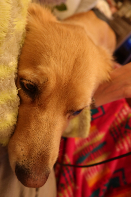 ファイル 8196-4.jpg