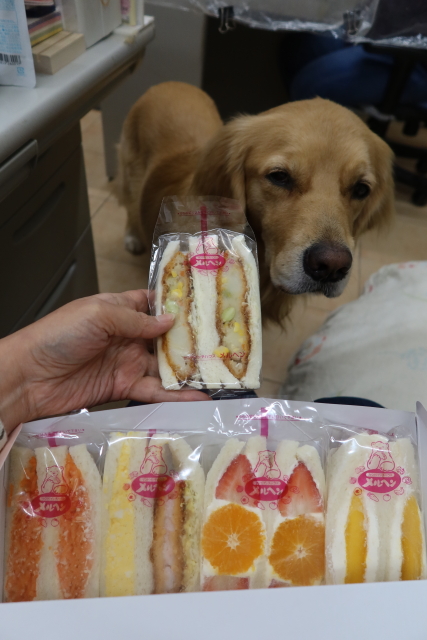 ファイル 8197-2.jpg