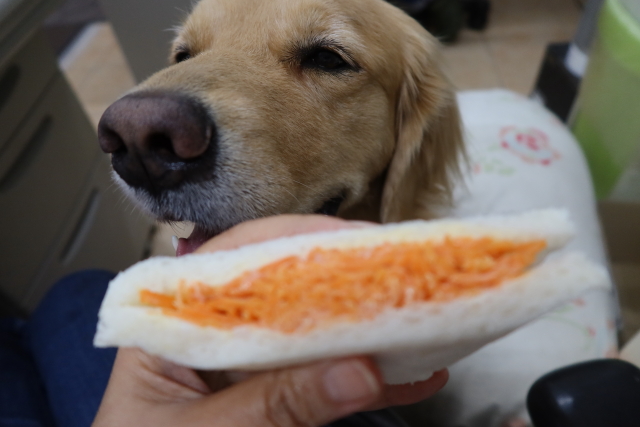 ファイル 8197-3.jpg