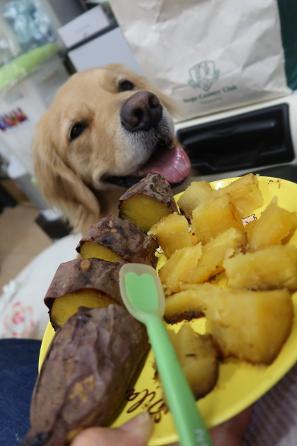 ファイル 8197-4.jpg