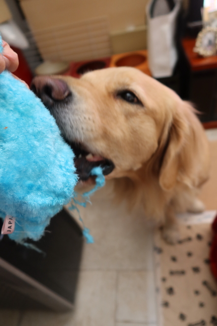 ファイル 8198-1.jpg