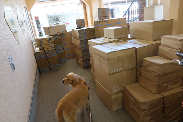 ファイル 8198-2.jpg