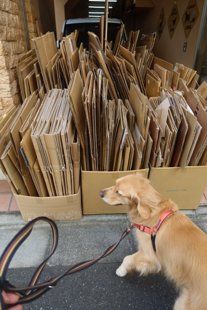 ファイル 8198-3.jpg