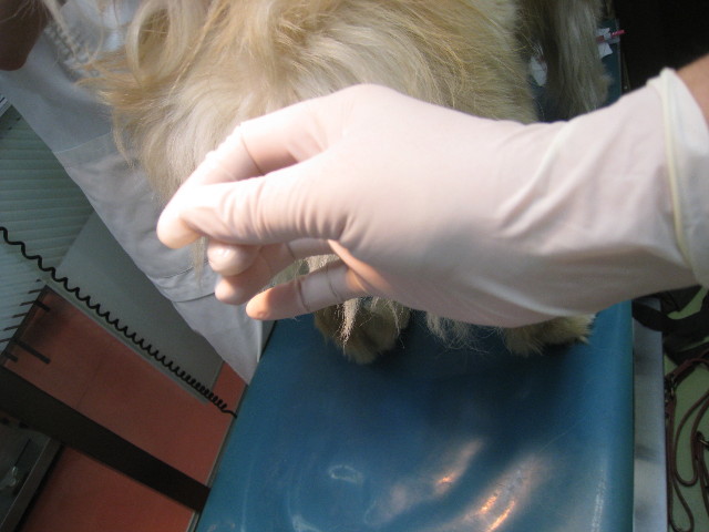 ファイル 820-5.jpg