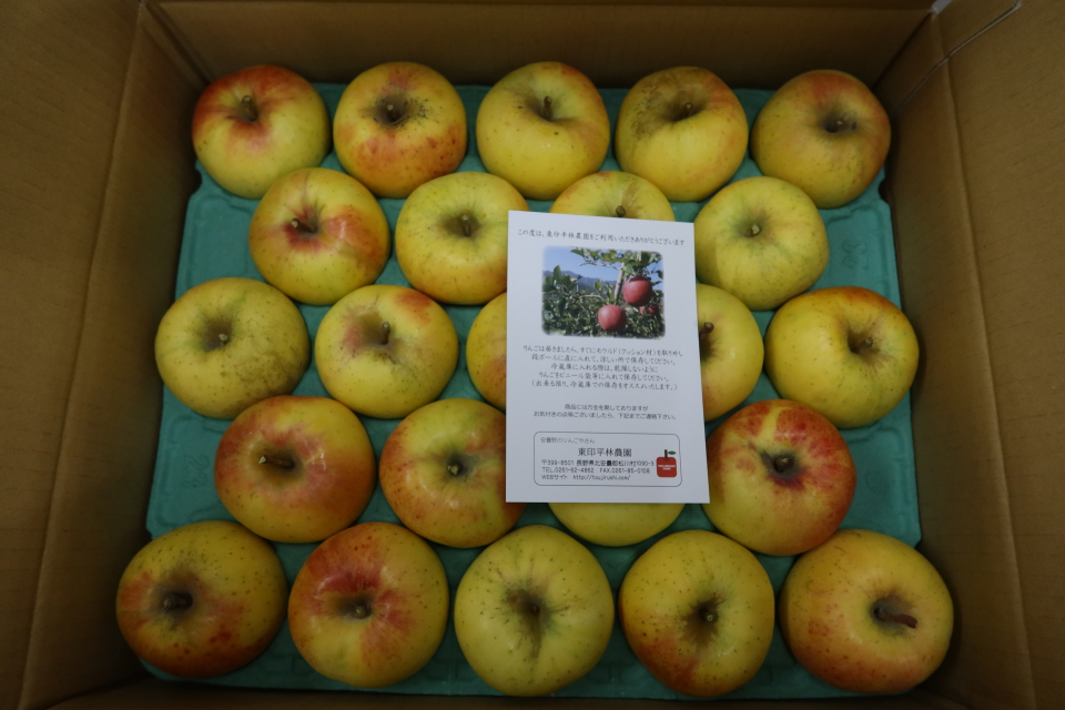 ファイル 8203-3.jpg