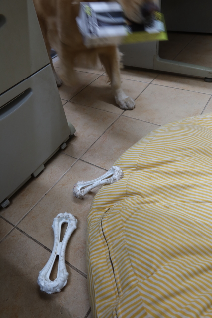 ファイル 8206-1.jpg