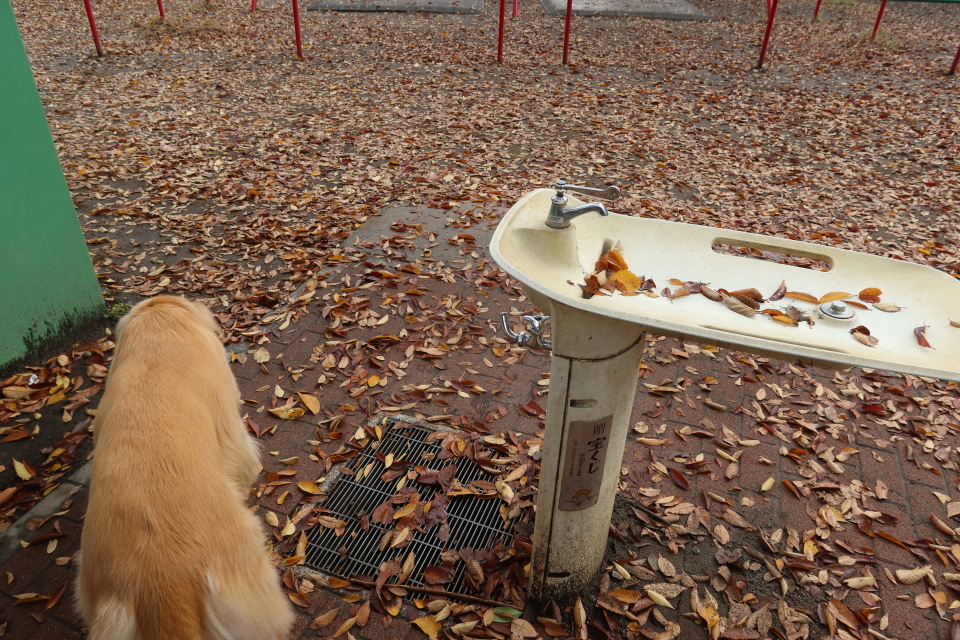 ファイル 8207-4.jpg