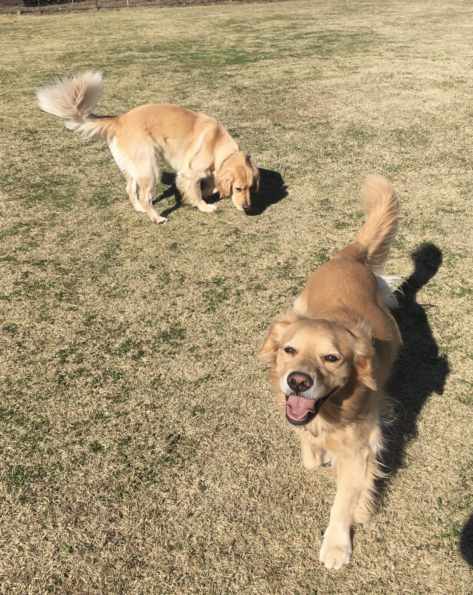 ファイル 8208-5.jpeg