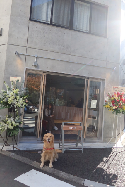 ファイル 8209-2.jpg