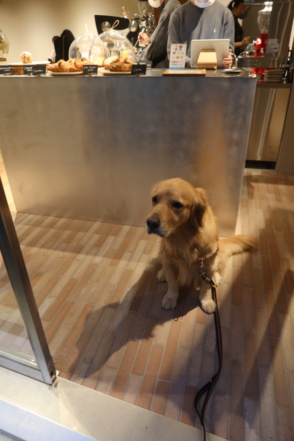 ファイル 8209-3.jpg