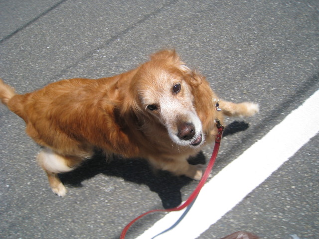 ファイル 821-2.jpg