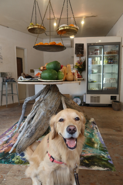 ファイル 8210-1.jpg