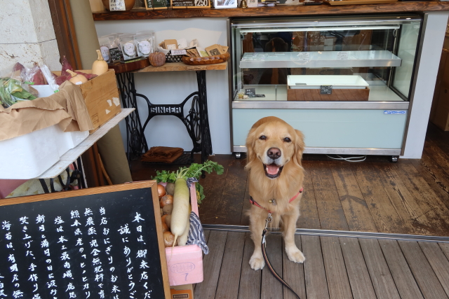 ファイル 8210-3.jpg