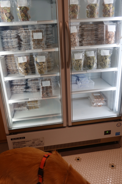 ファイル 8210-5.jpg