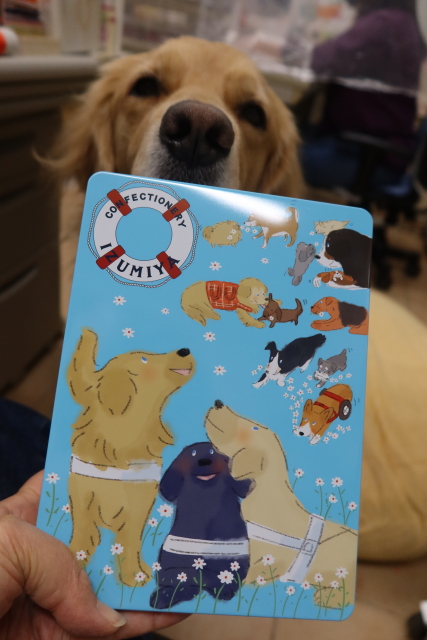 ファイル 8212-2.jpg