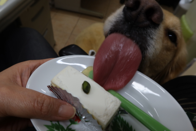 ファイル 8212-4.jpg