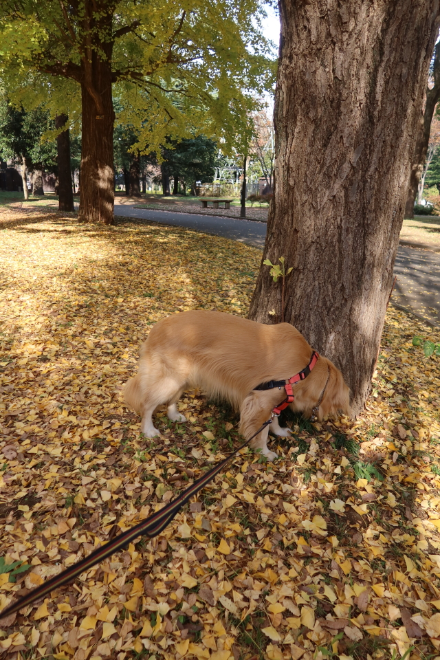 ファイル 8214-3.jpg