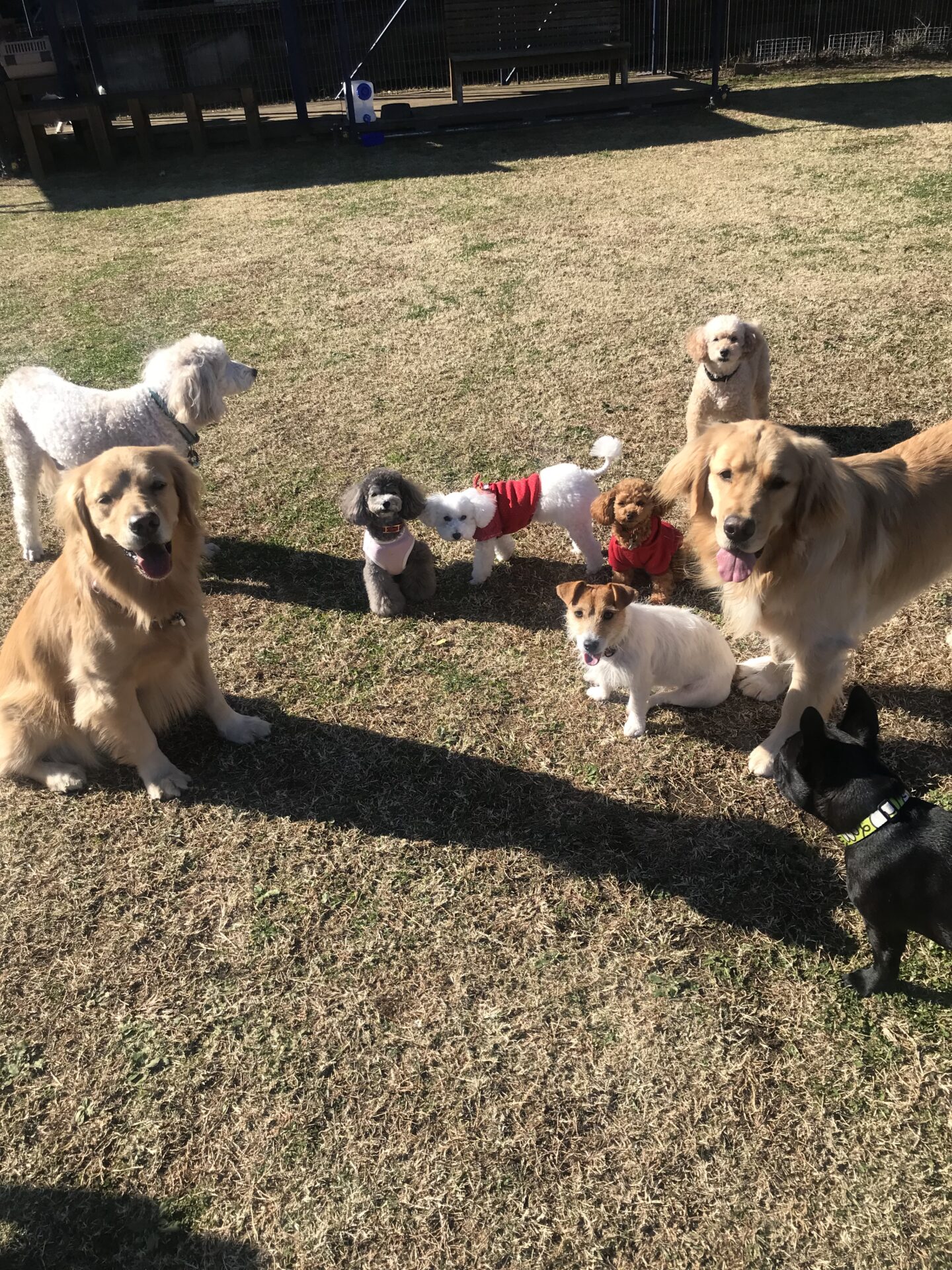 ファイル 8215-1.jpeg