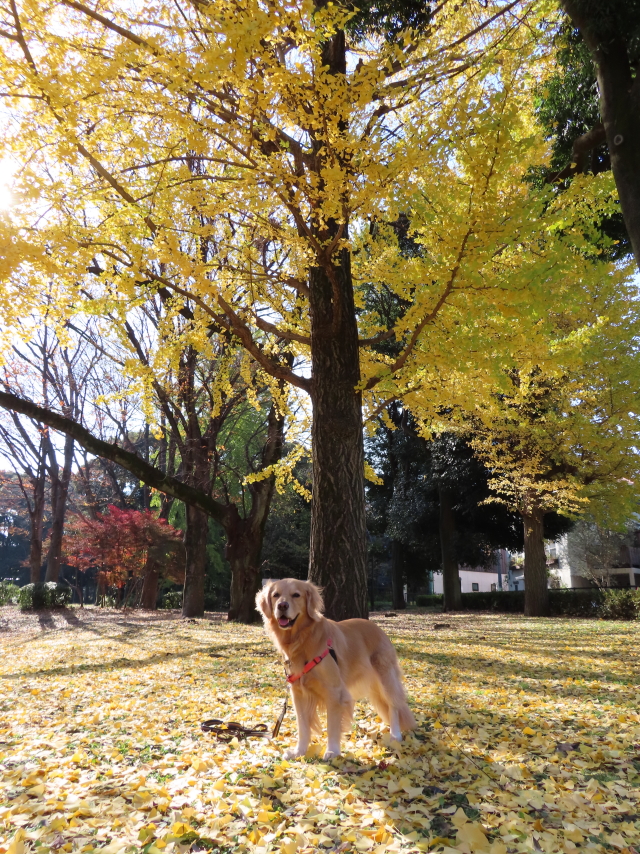 ファイル 8216-2.jpg