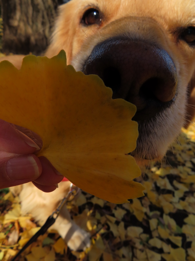 ファイル 8216-3.jpg