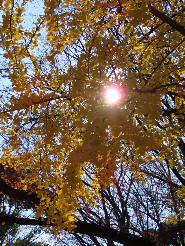 ファイル 8216-5.jpg