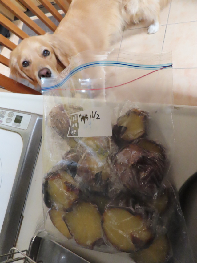 ファイル 8217-3.jpg