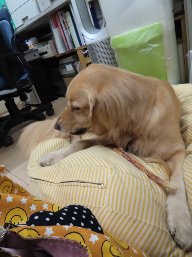 ファイル 8219-5.jpg