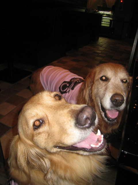 ファイル 822-4.jpg