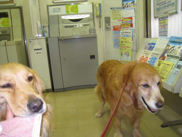 ファイル 822-5.jpg