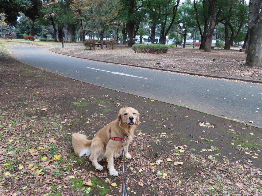 ファイル 8221-1.jpg