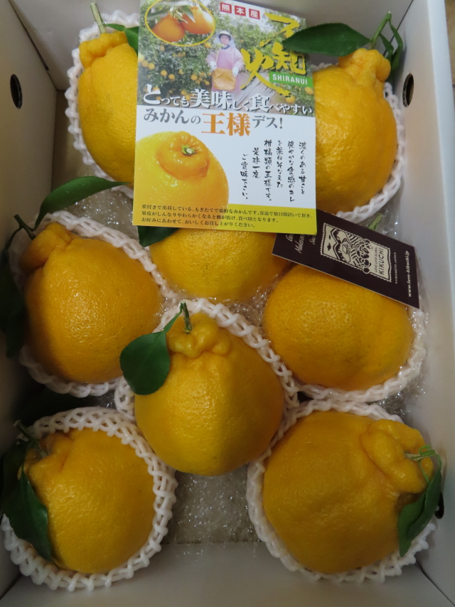 ファイル 8225-1.jpg