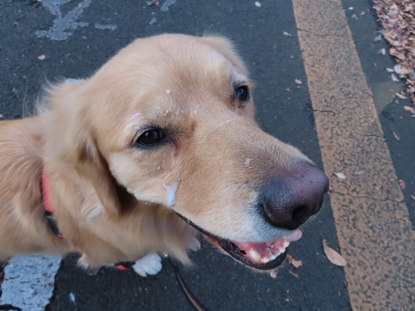 ファイル 8227-3.jpg