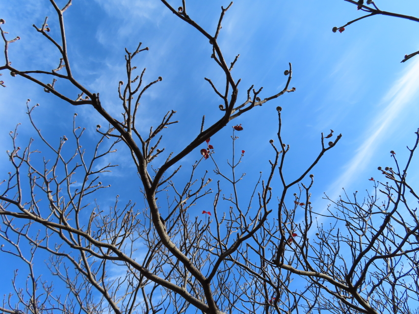 ファイル 8227-4.jpg