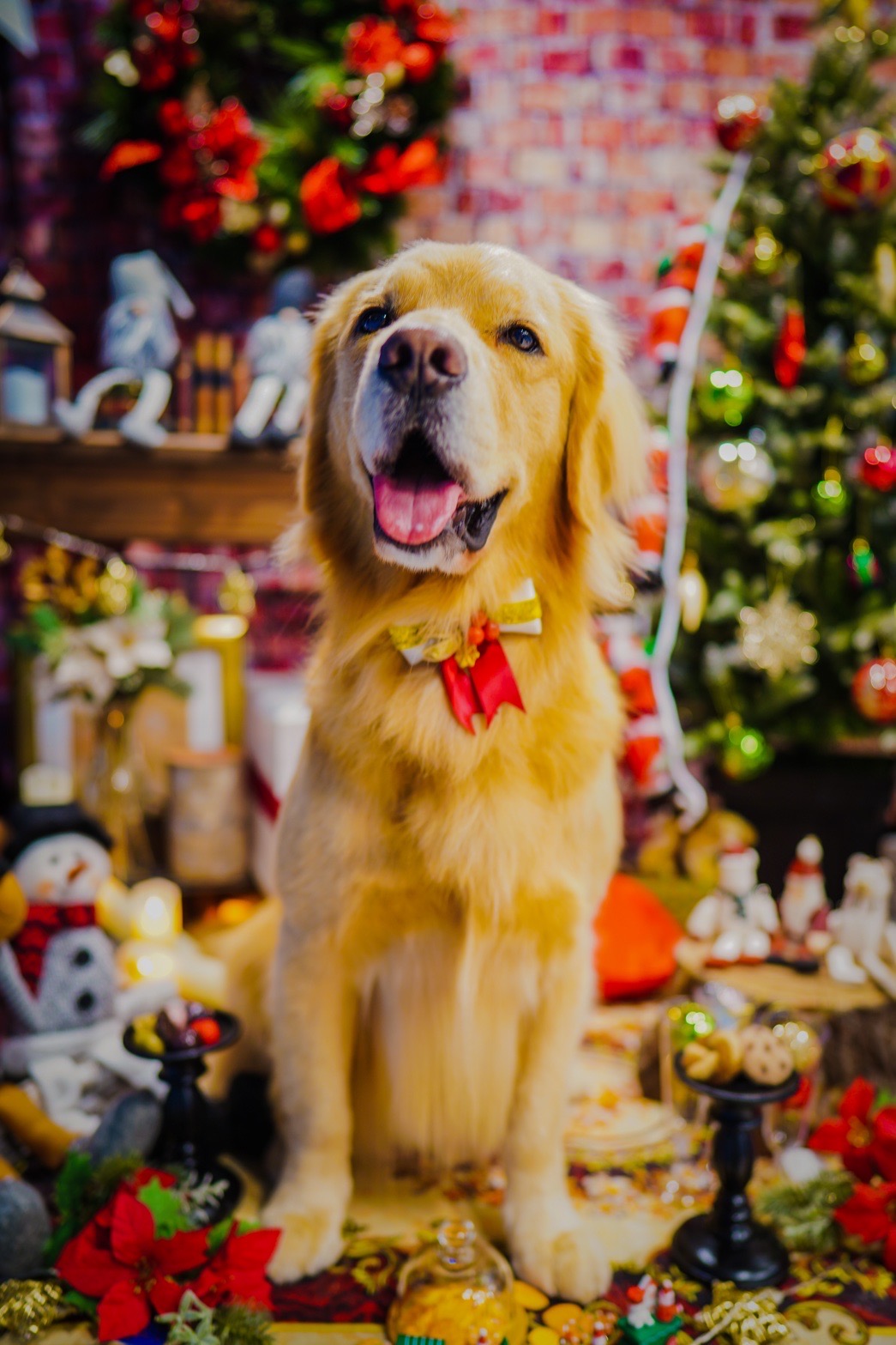 ファイル 8227-5.jpg