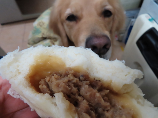 ファイル 8228-4.jpg